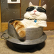 Illustration for article titled Some of Japans Cutest and Most Amusing Twitter Pics